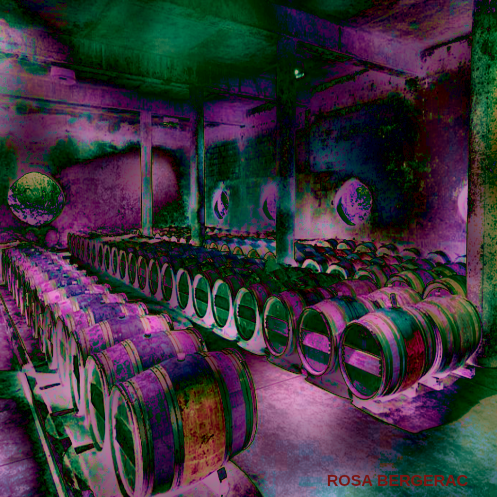 THE CELLAR BY ROSA BERGERAC