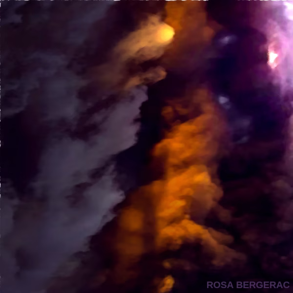 ULTIMATUM - PAINTING BY ROSA BERGERAC