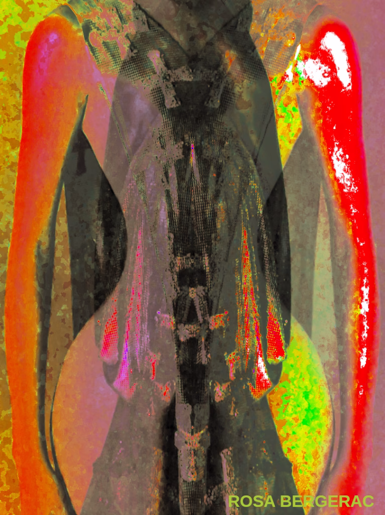 FEMALE I - NUDES CATALOG BY ROSA BERGERAC